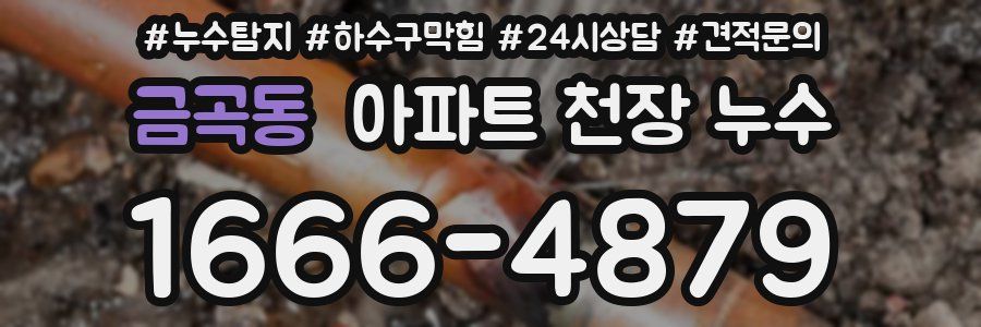금곡동 아파트 천장 누수