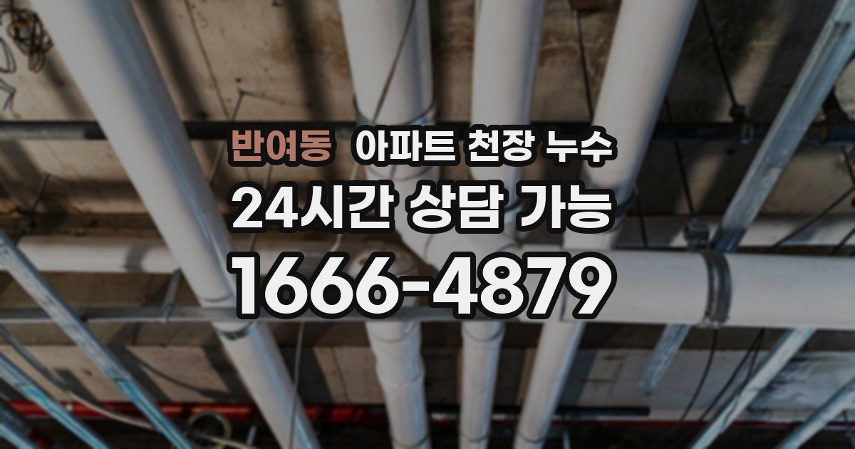 반여동 아파트 천장 누수