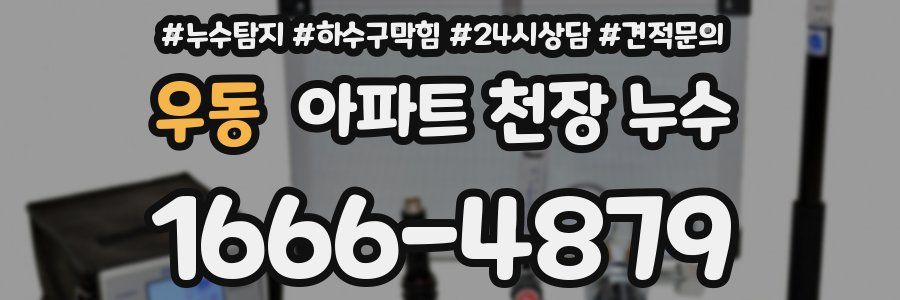 우동 아파트 천장 누수
