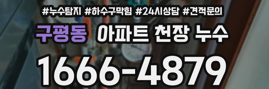 구평동 아파트 천장 누수