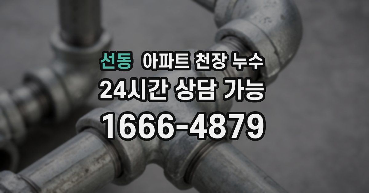 선동 아파트 천장 누수