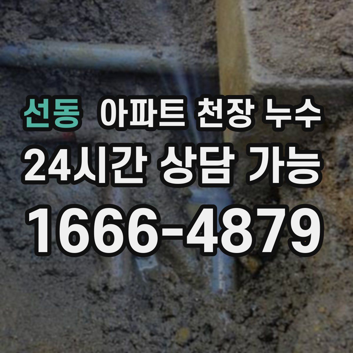 선동 아파트 천장 누수