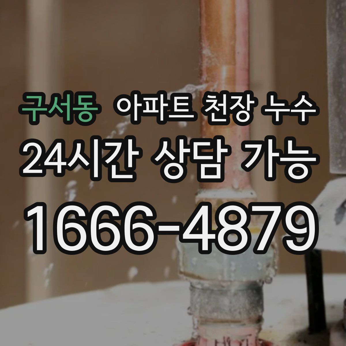 구서동 아파트 천장 누수