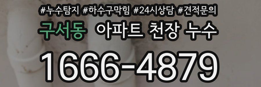 구서동 아파트 천장 누수