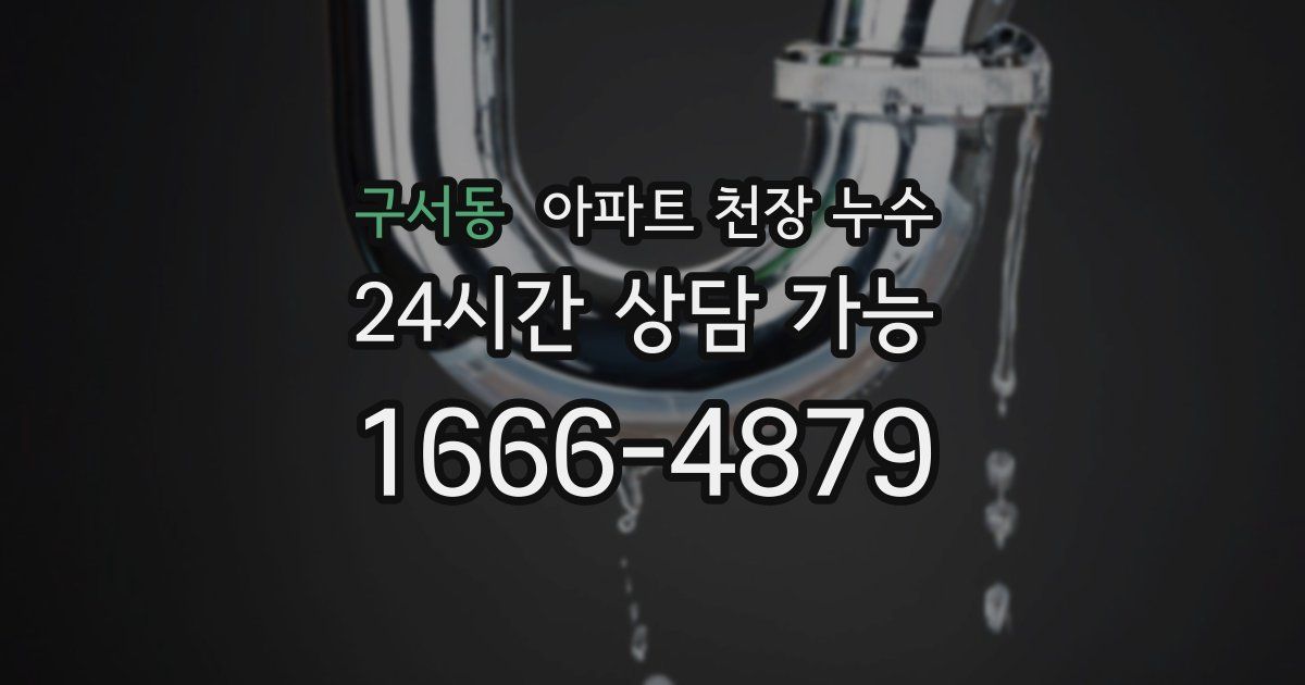 구서동 아파트 천장 누수