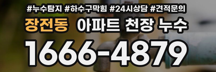장전동 아파트 천장 누수
