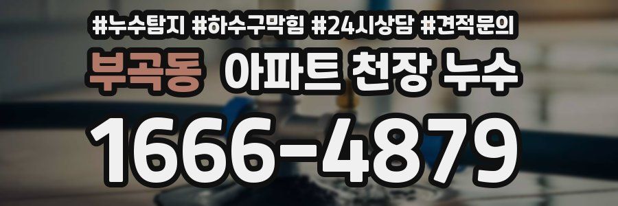 부곡동 아파트 천장 누수