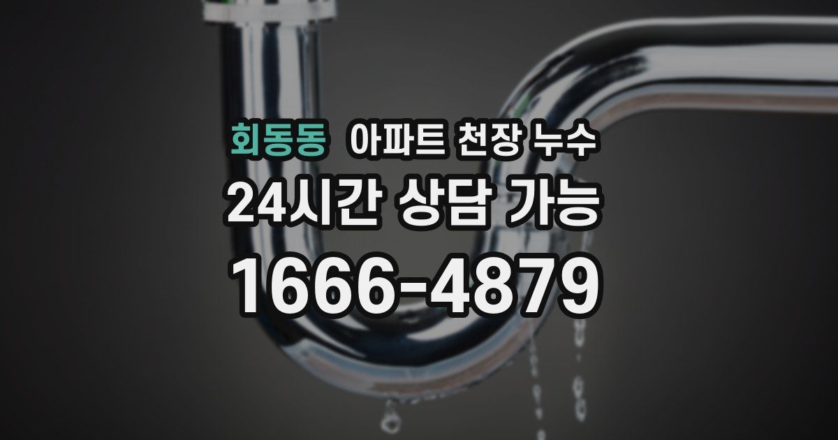 회동동 아파트 천장 누수