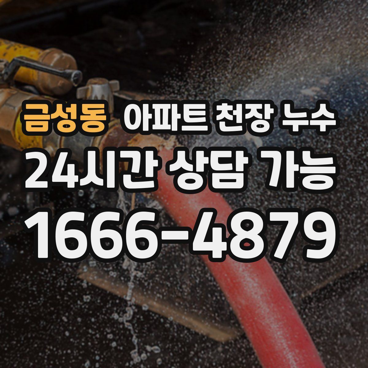 금성동 아파트 천장 누수