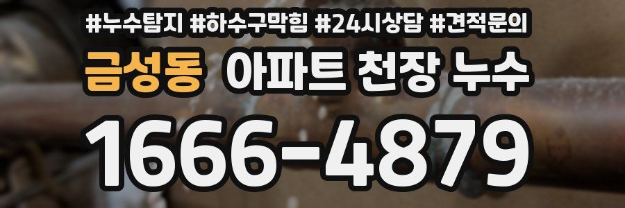 금성동 아파트 천장 누수