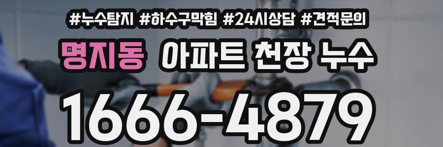 명지동 아파트 천장 누수