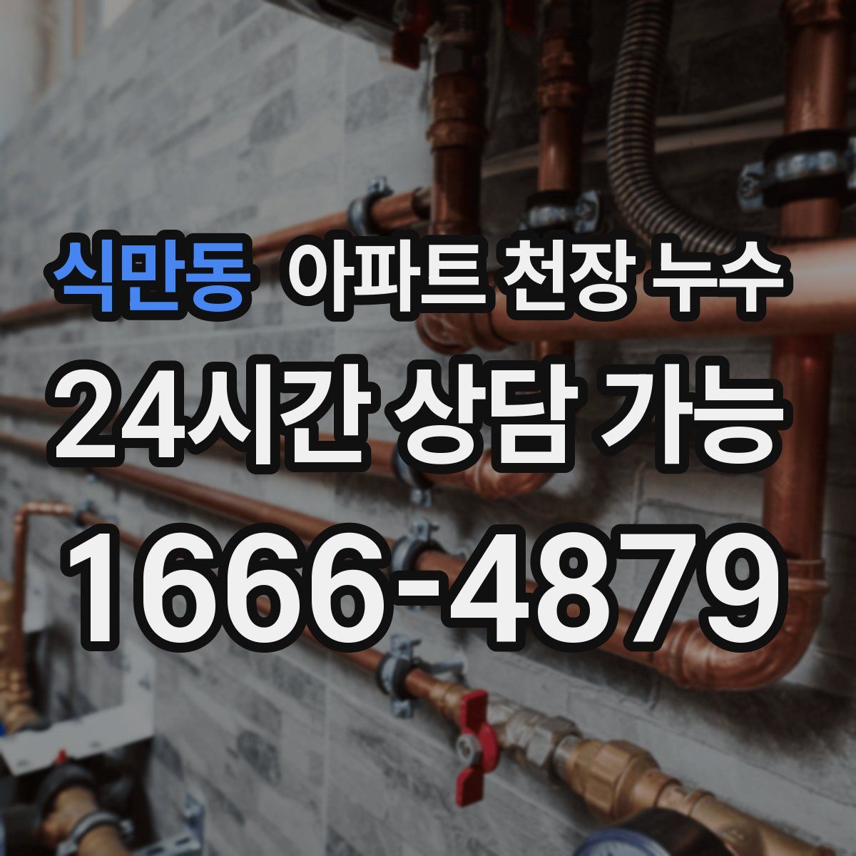식만동 아파트 천장 누수