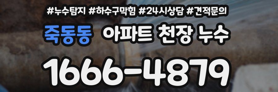 죽동동 아파트 천장 누수