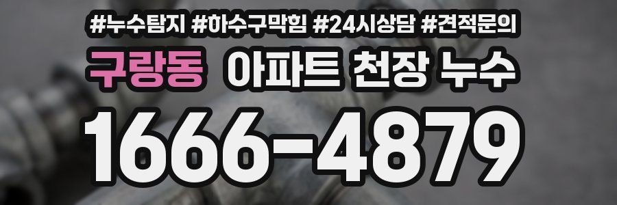 구랑동 아파트 천장 누수