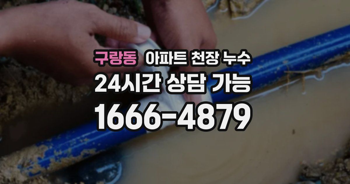 구랑동 아파트 천장 누수