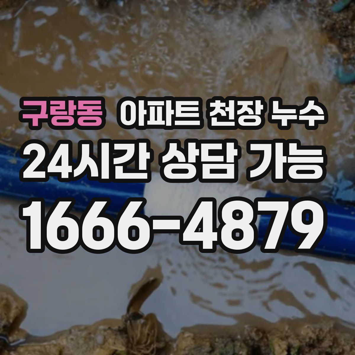 구랑동 아파트 천장 누수