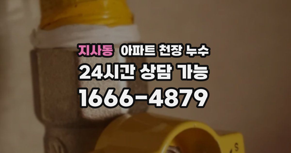 지사동 아파트 천장 누수