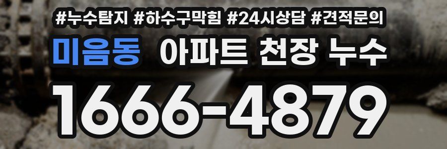 미음동 아파트 천장 누수