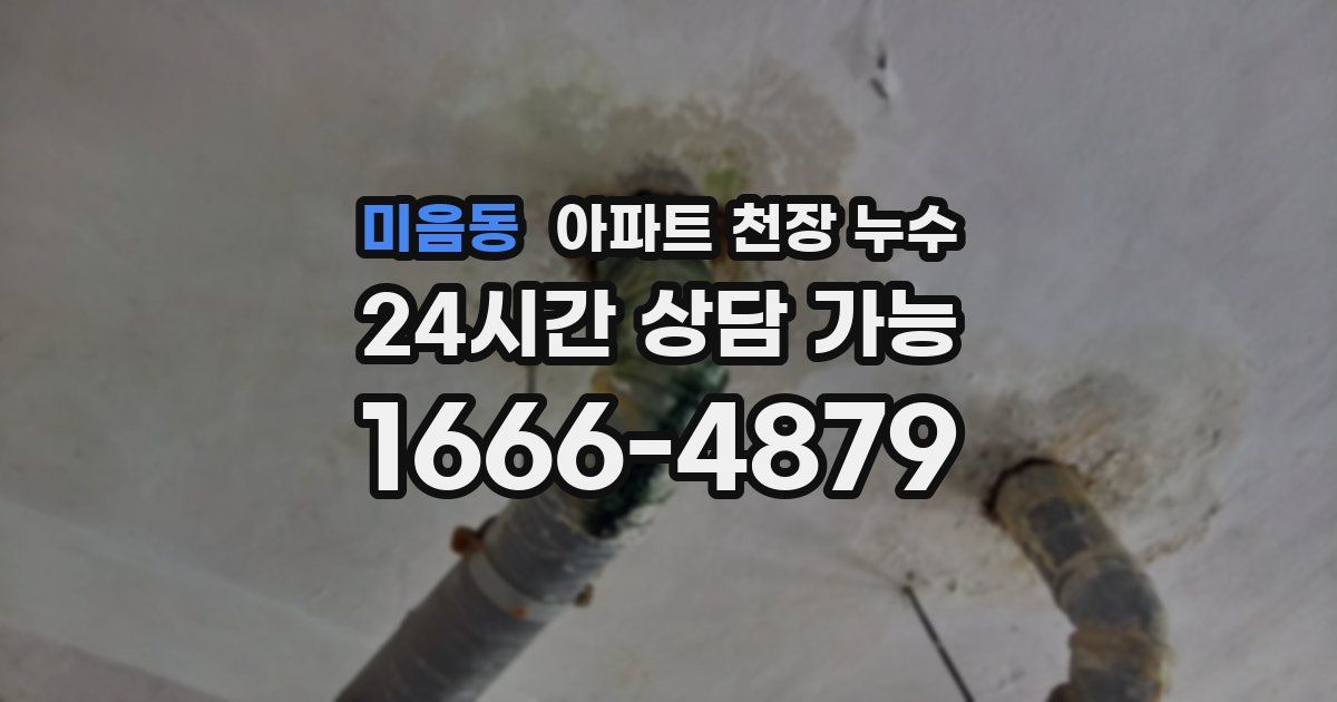 미음동 아파트 천장 누수