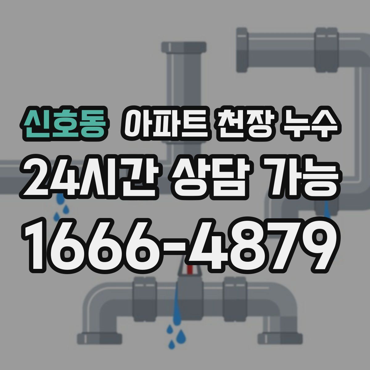 신호동 아파트 천장 누수
