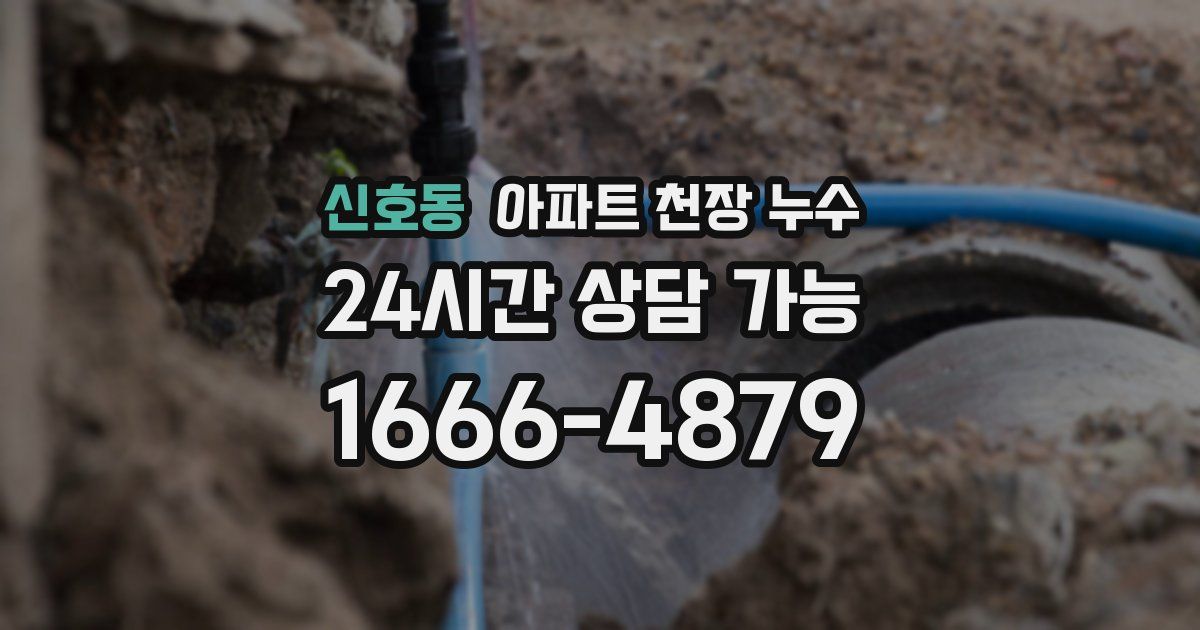 신호동 아파트 천장 누수