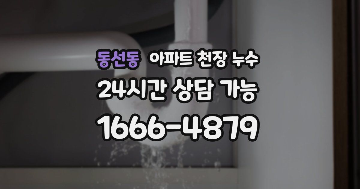 동선동 아파트 천장 누수