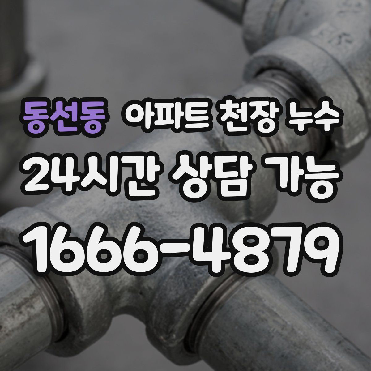 동선동 아파트 천장 누수