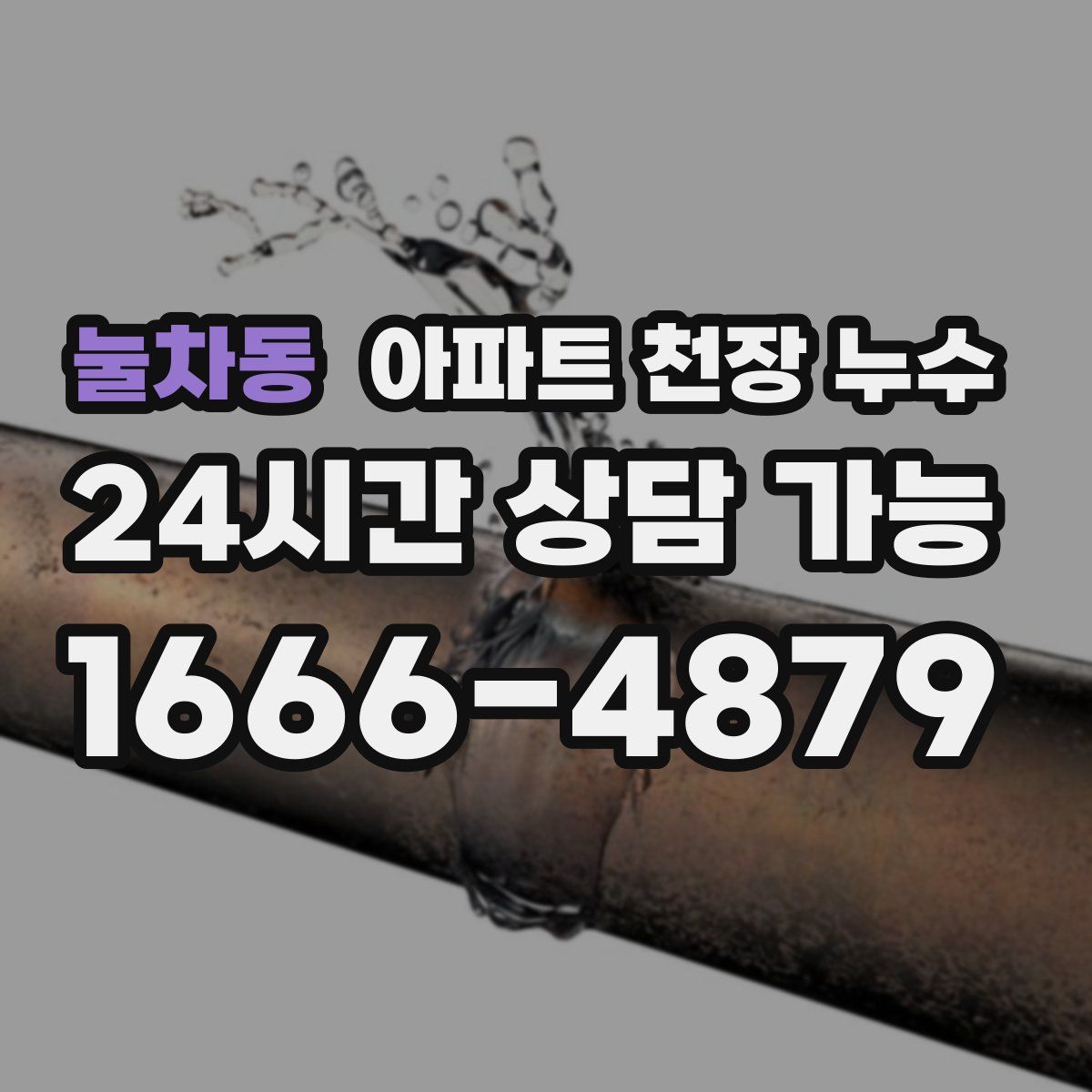 눌차동 아파트 천장 누수