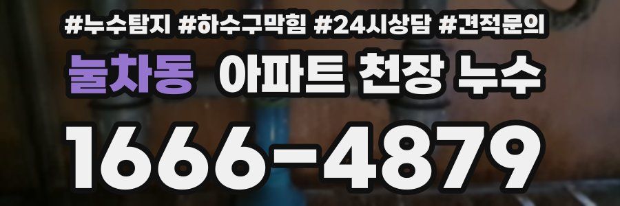 눌차동 아파트 천장 누수