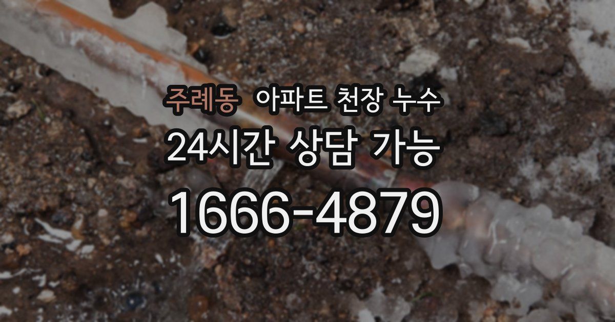 주례동 아파트 천장 누수