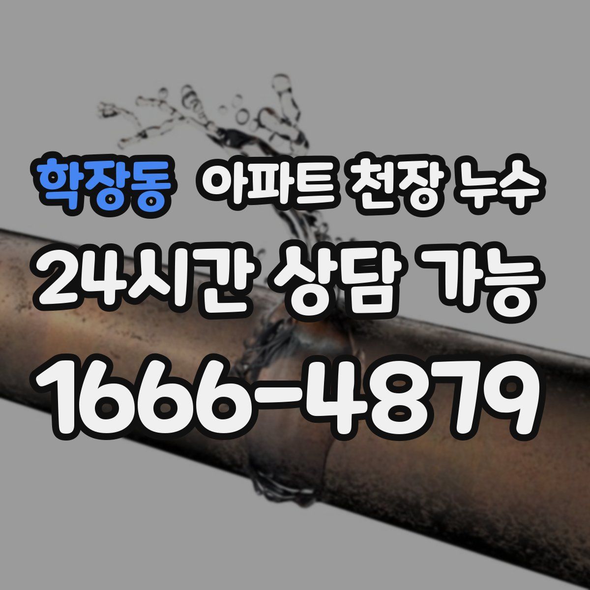 학장동 아파트 천장 누수