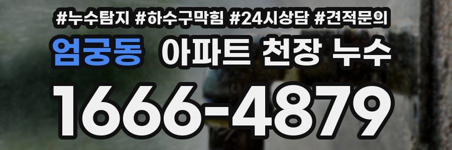 엄궁동 아파트 천장 누수