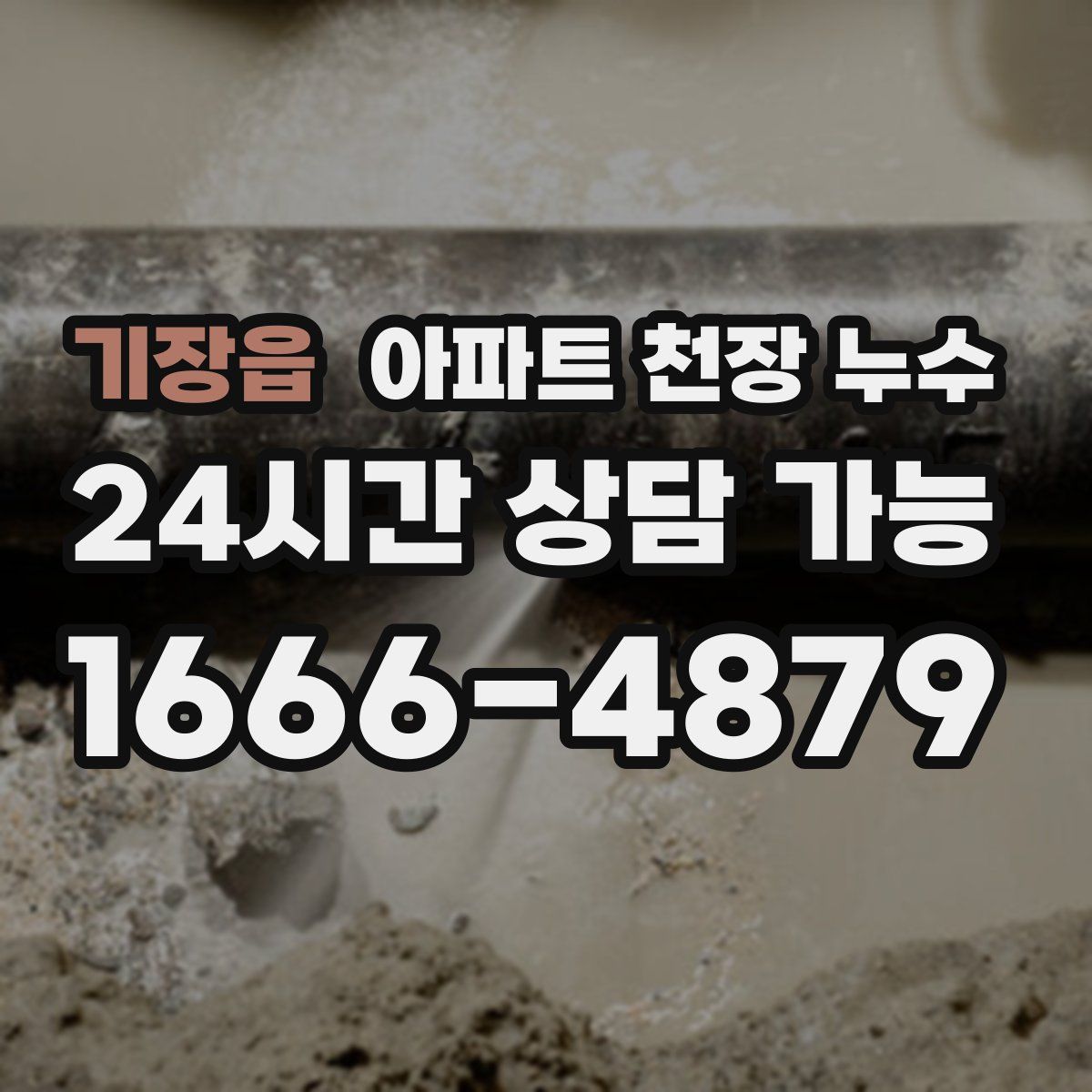 기장읍 아파트 천장 누수