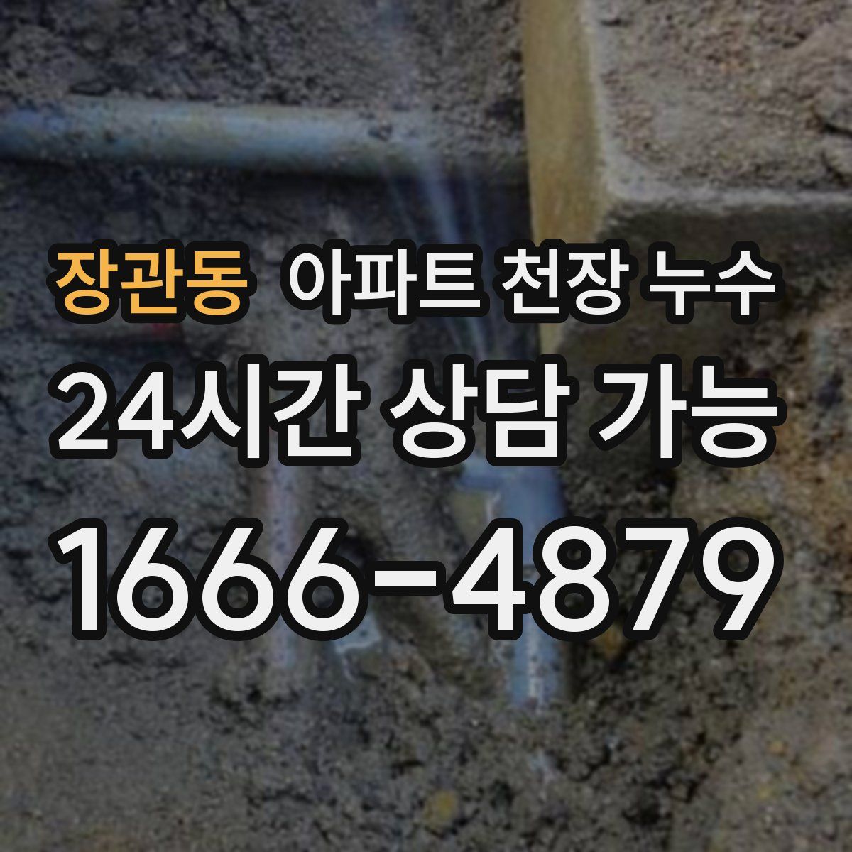 장관동 아파트 천장 누수