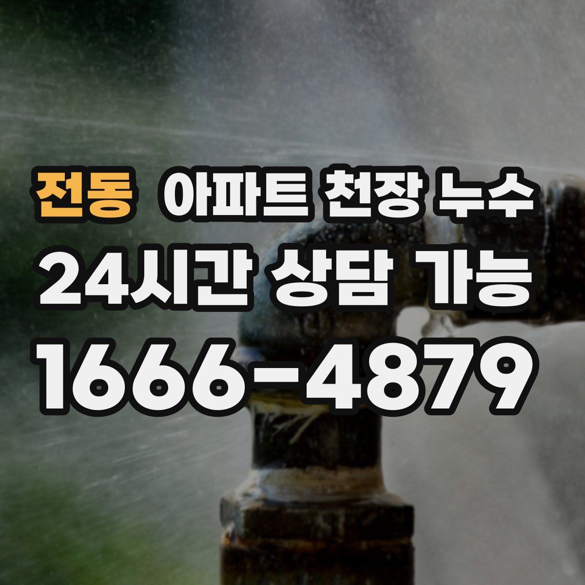 전동 아파트 천장 누수