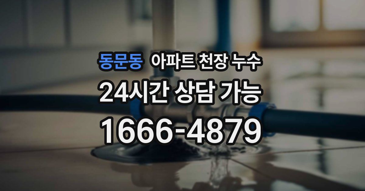 동문동 아파트 천장 누수