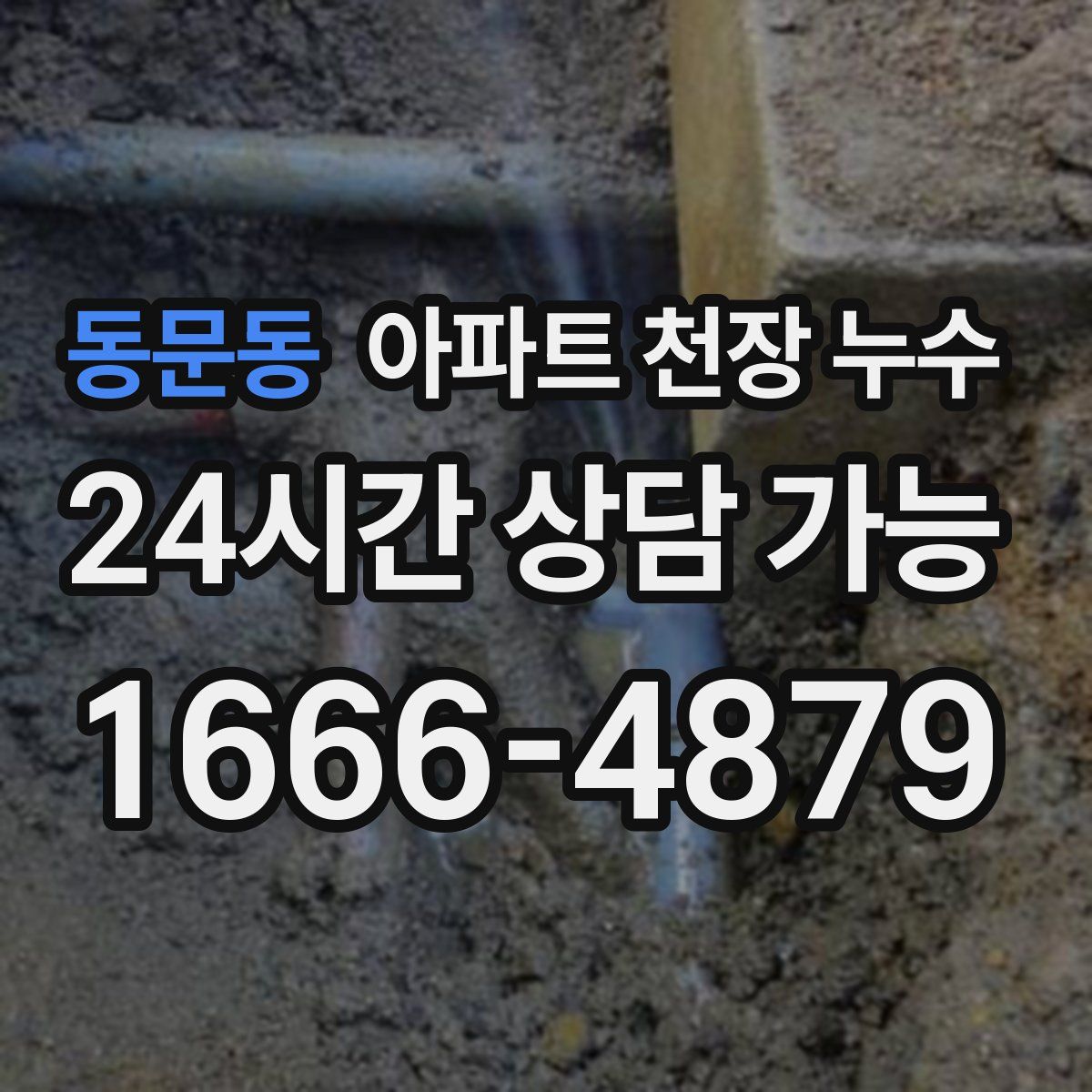 동문동 아파트 천장 누수
