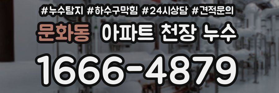 문화동 아파트 천장 누수