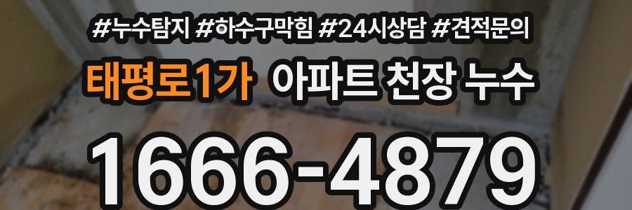 태평로1가 아파트 천장 누수
