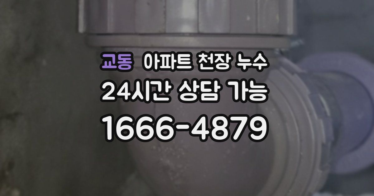 교동 아파트 천장 누수