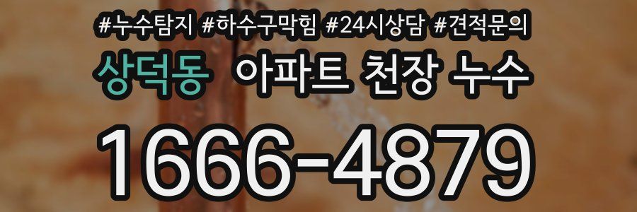 상덕동 아파트 천장 누수