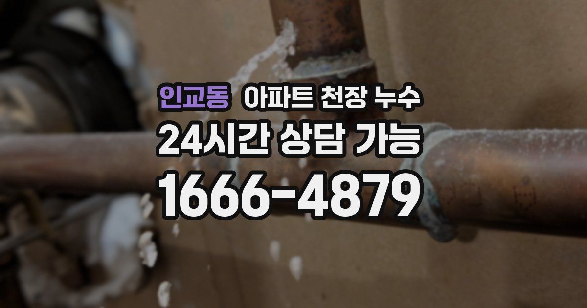 인교동 아파트 천장 누수