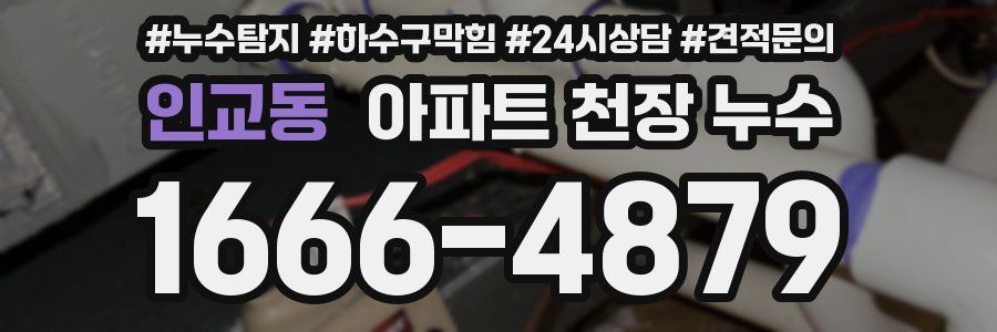 인교동 아파트 천장 누수