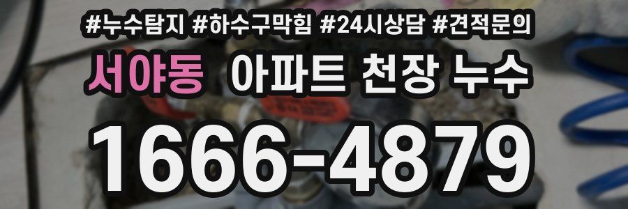 서야동 아파트 천장 누수