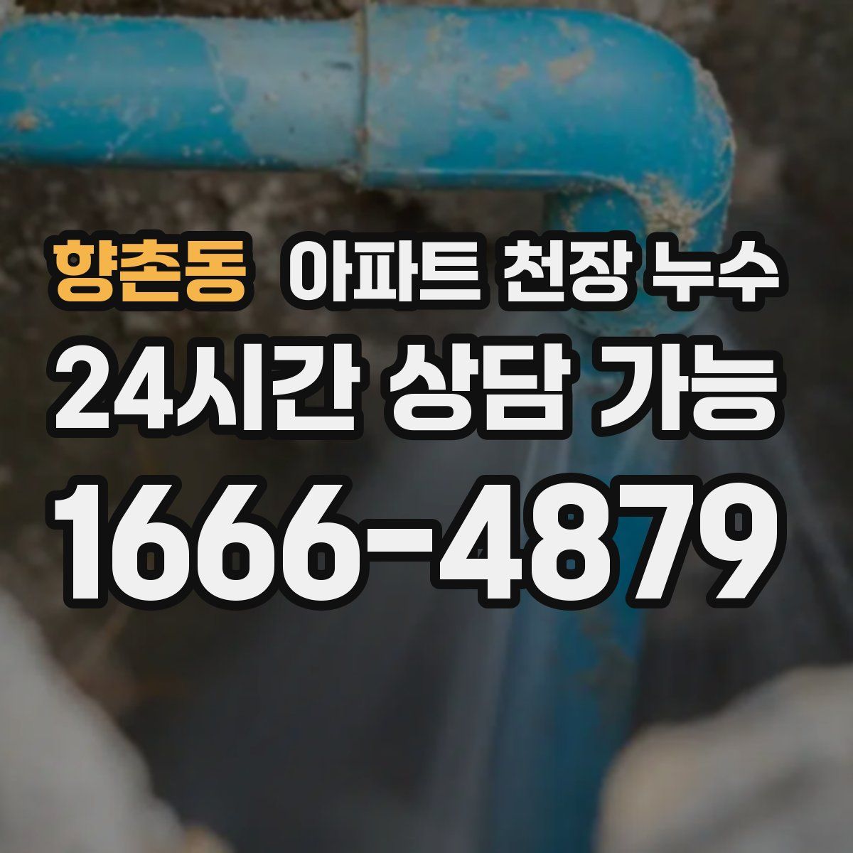 향촌동 아파트 천장 누수