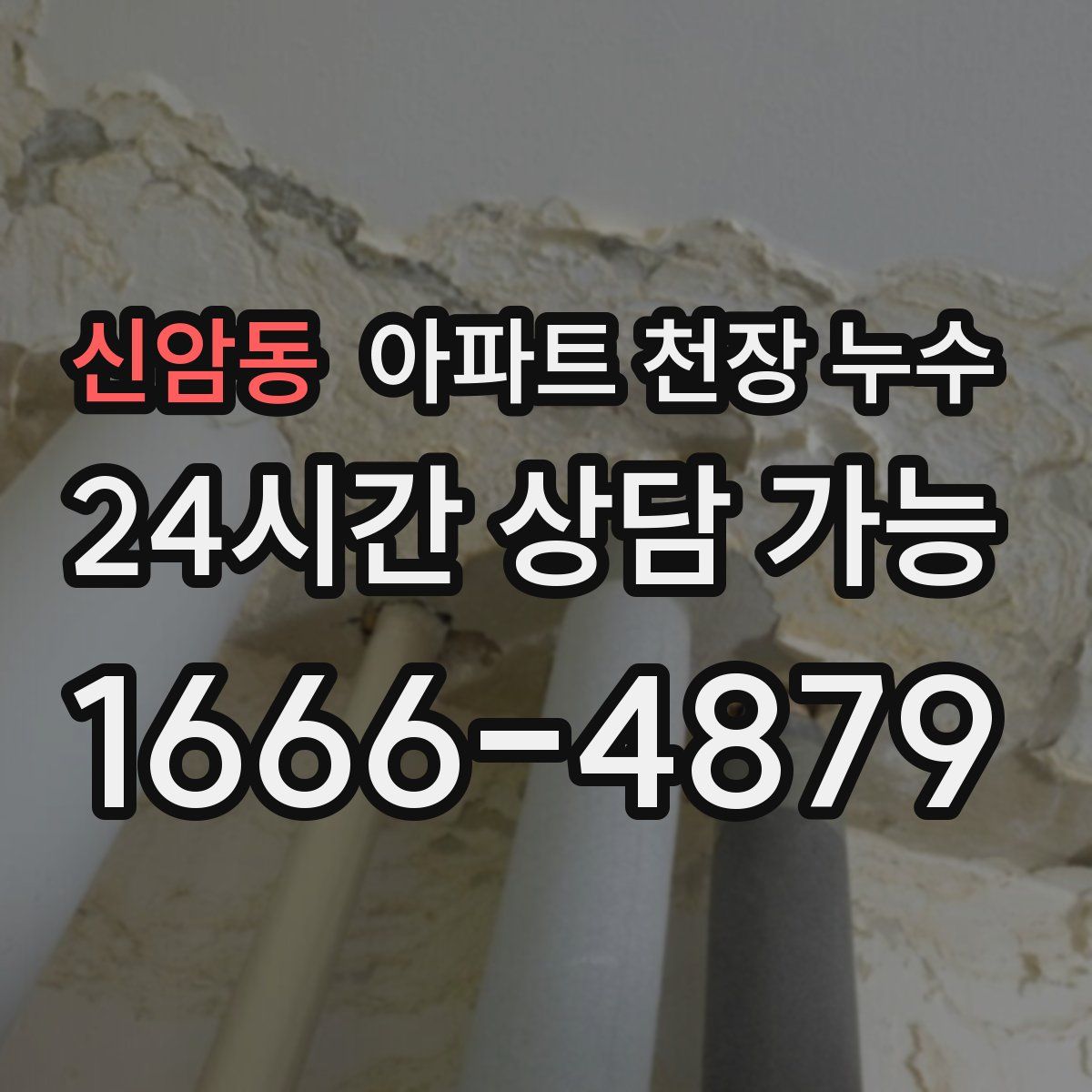 신암동 아파트 천장 누수