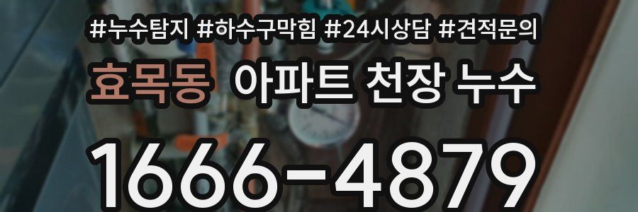 효목동 아파트 천장 누수
