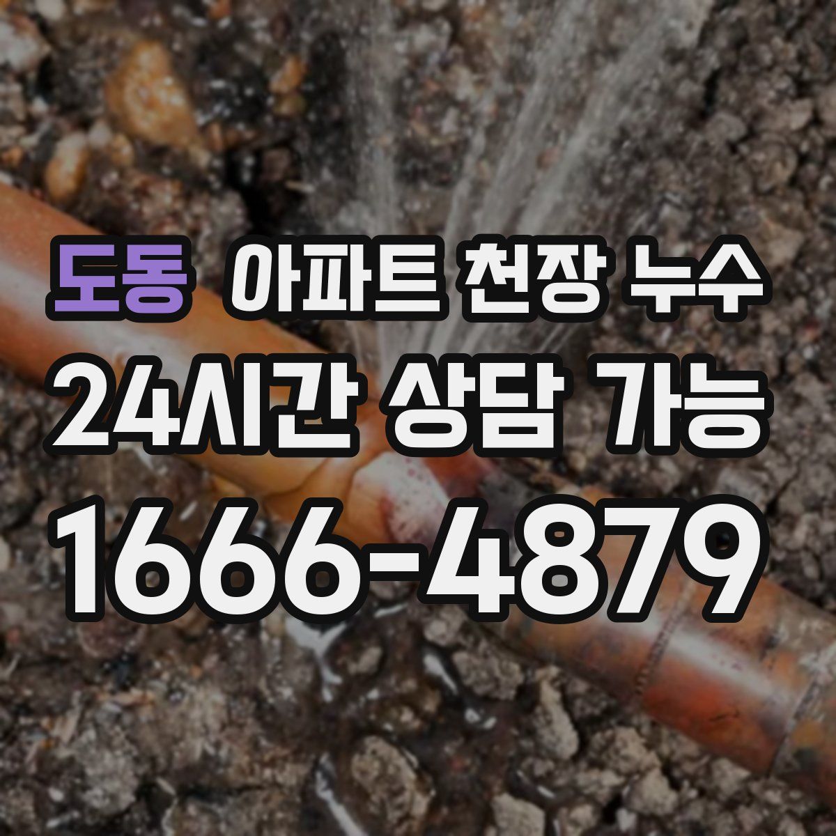 도동 아파트 천장 누수