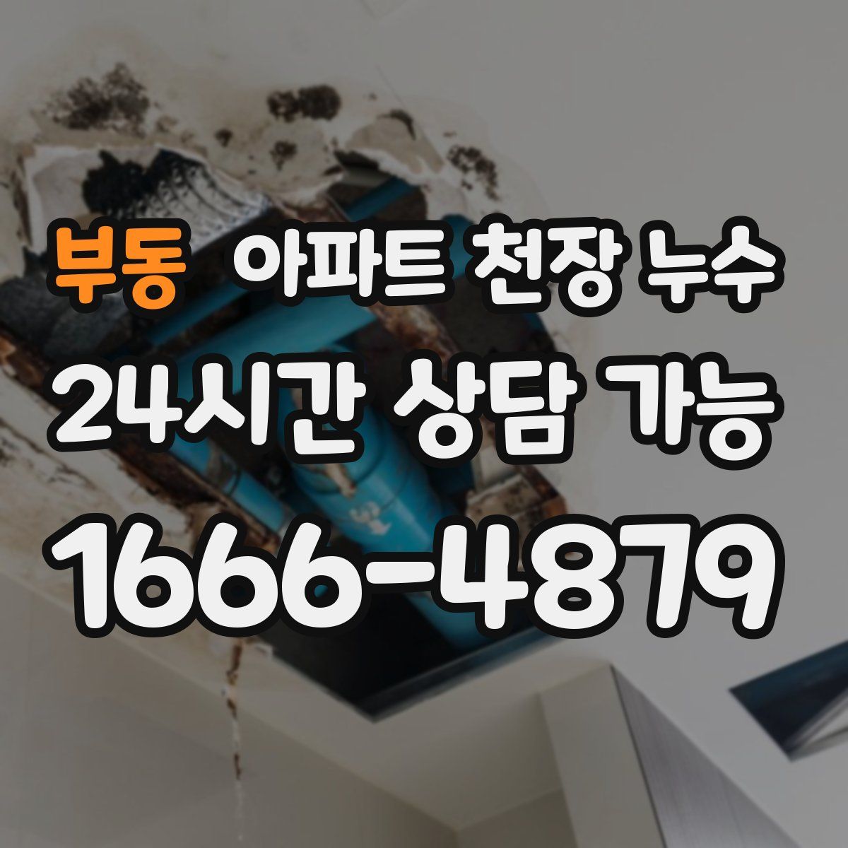 부동 아파트 천장 누수