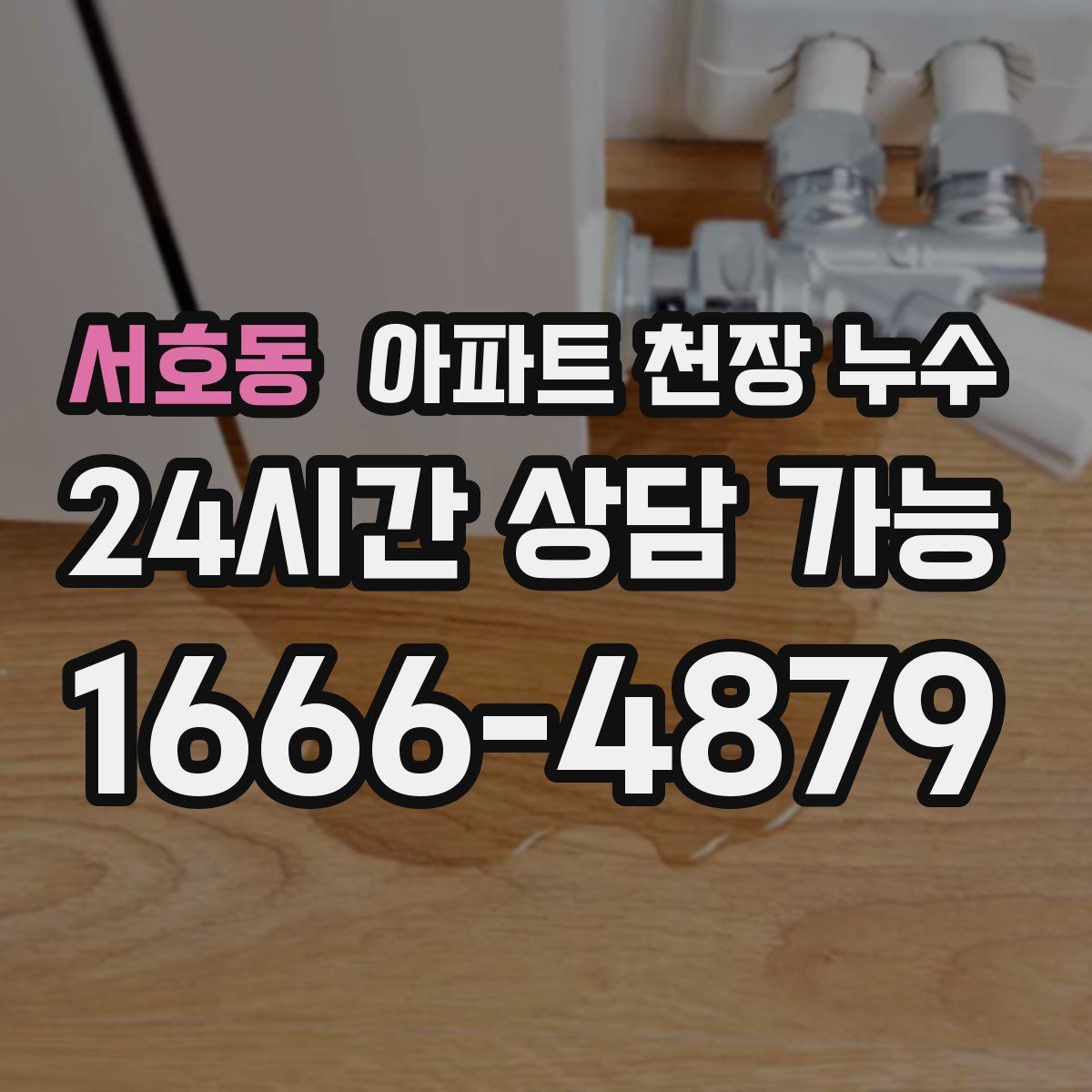 서호동 아파트 천장 누수